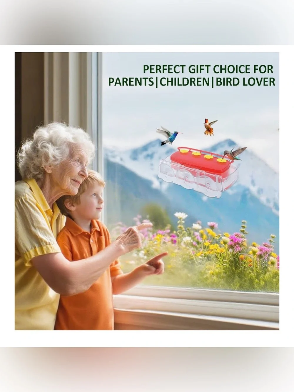 Window Hummingbird Feeder with Strong Suction Cups
